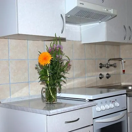 Διαμέρισμα In Barbat With Balcony, Air Conditioning 660-3 *
